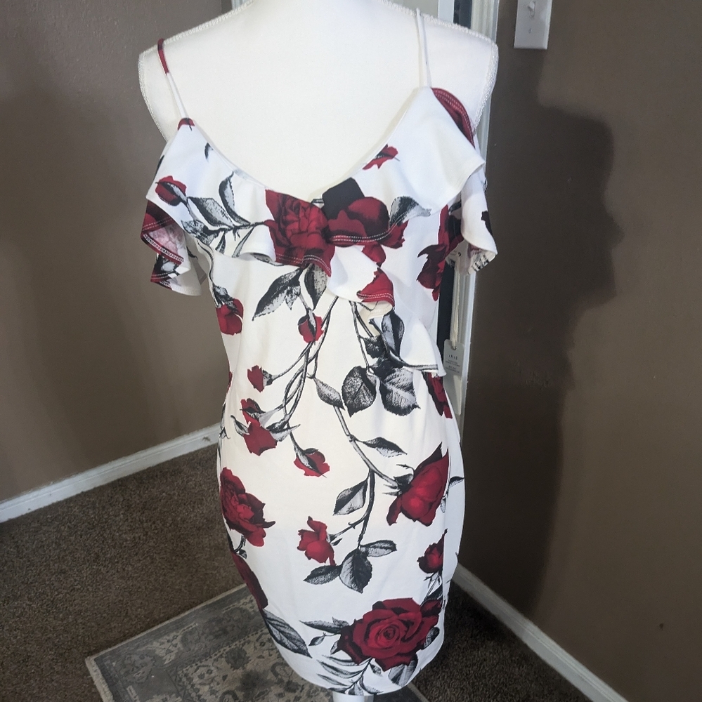 Very pretty rose dress NWT